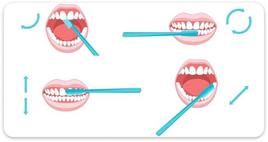 Brush Your Teeth